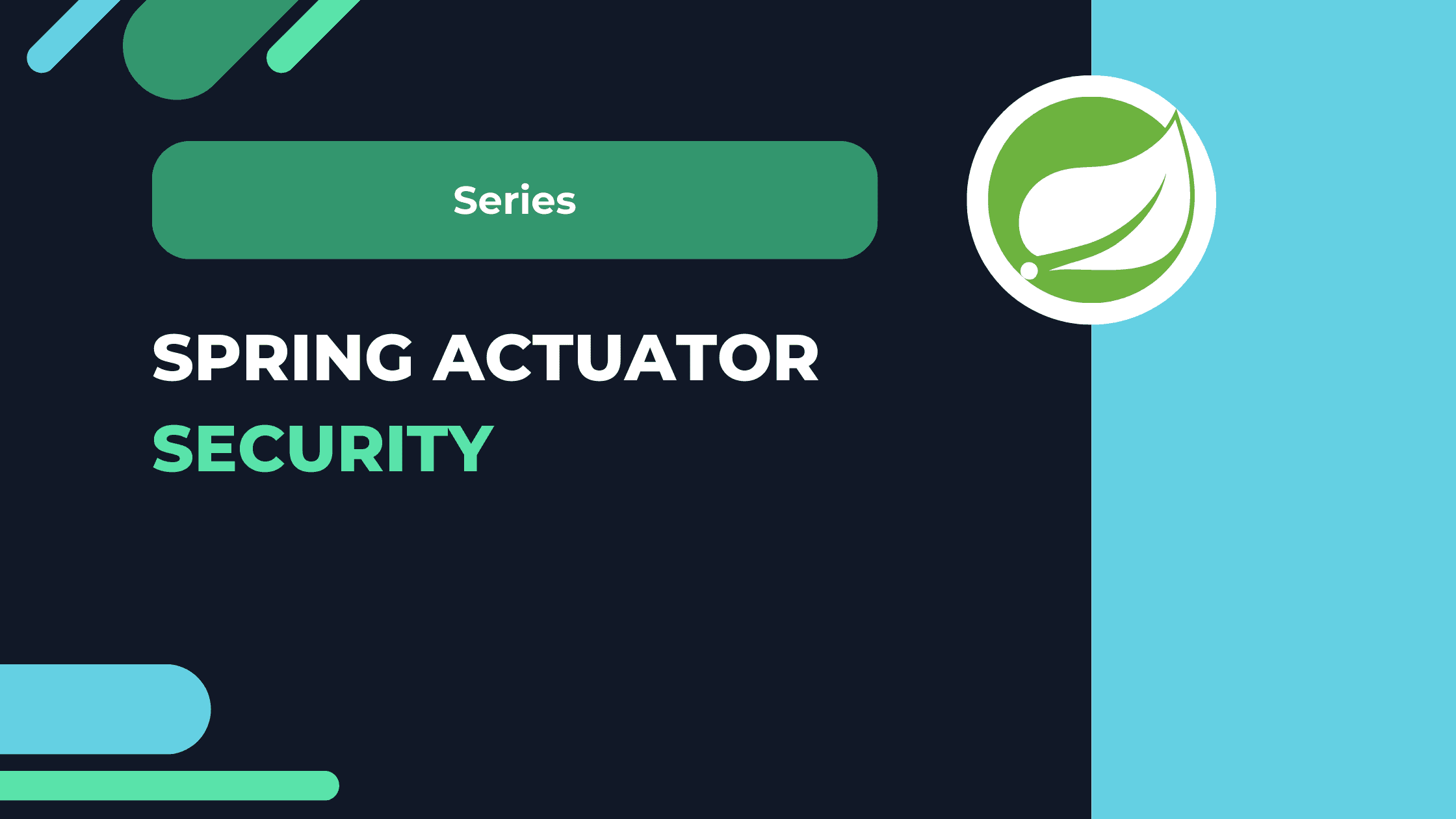 Spring Actuator Security